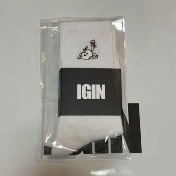 IGIN 팝업 양말 BTS JIN 진 POPUP