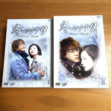 겨울연가 DVD 전 7권 세트