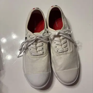 LACOSTE 화이트 캔버스 스니커즈