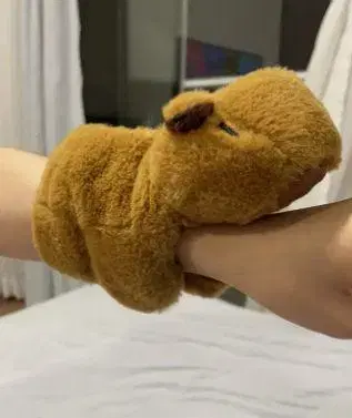 동물 장갑형 봉제 인형 브라운 구매 불가입니다