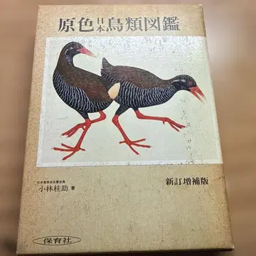 원색 일본 조류 도감 신정증보판