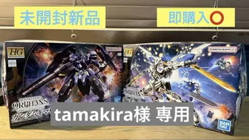 HG 건담 바엘 & 건담 키마리스 비다르 세트
