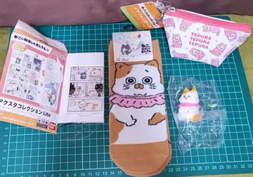 테푸짱 4세트