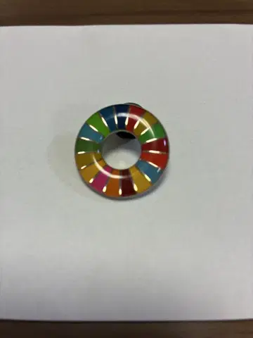 [한정품] 오사카 간사이 만국박람회 UN 한정 SDGs 핀배지