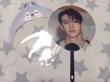 Stray Kids 방찬