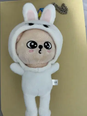 straykids 승민 skzoo 퍼핌 토이 월드