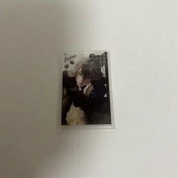 종원의 비르슈 아크릴 카드 앙크