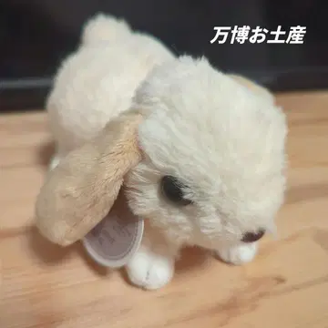 만박 기념품 Marron 롭이어 토끼