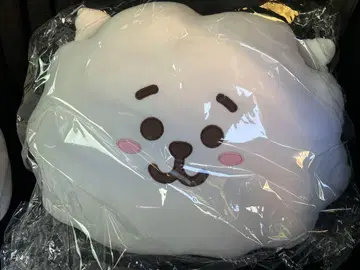 BT21 RJ BASIC FACE CUSHION