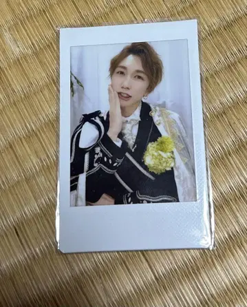 MeseMoa. 포겔 폴라로이드 20