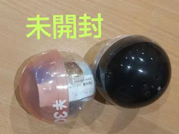 원색 문어 오징어 도감: 코부시메 마다코 2개