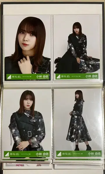 사쿠라자카46 코바야시 유이 브로마이드 라스트 라이브 day1 컴프