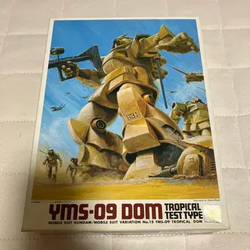 YMS-09 DOM 트로피컬 테스트 타입