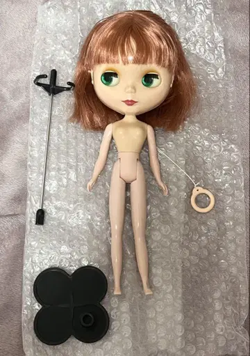 브라이스 피카델리 리드돌 앙코르 본체만 중고