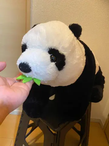 팬더 봉제 인형 빅