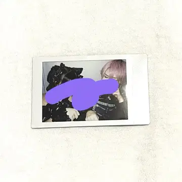AVAM 빌런 의상 페어 아란 폴라로이드  히메미야 유카