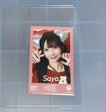 타니자키 사야 미니 사진 레어