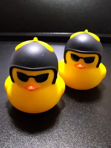 둥둥 목욕탕 오리 블랙 헬멧