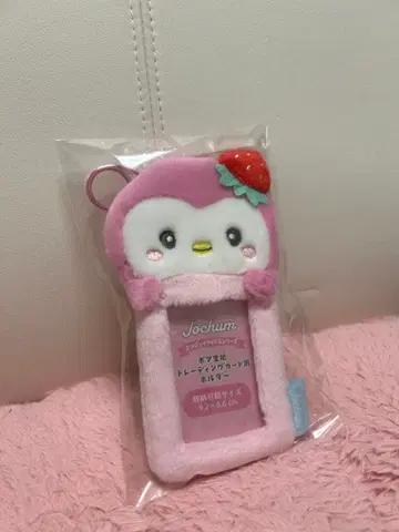 Jochum 뽀뽀 트레이딩 카드 홀더