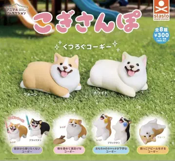 코기 산책 가챠 전 8종 컴프 세트