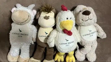 Cathay Pacific 캐세이퍼시픽 연말 봉제 인형 세트