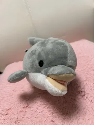 돌고래 봉제 인형