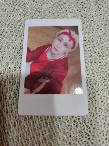 팬더드래곤 요우타 하피카 야쿠미타