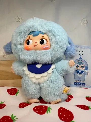 사무엘 해 시리즈 스카이블루 상어 4