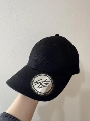 straykids 캡