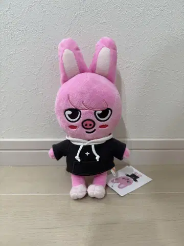 돼끼 봉제 인형 straykids