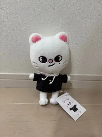 지니레트 봉제 인형 straykids