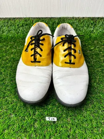 ( T15 ) 풋조이 골프화 신발 FJ 세미 오더 23.5cm