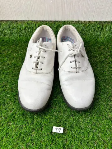 ( T17 ) 풋조이 골프화 신발 FJ 세미 오더 23.5cm