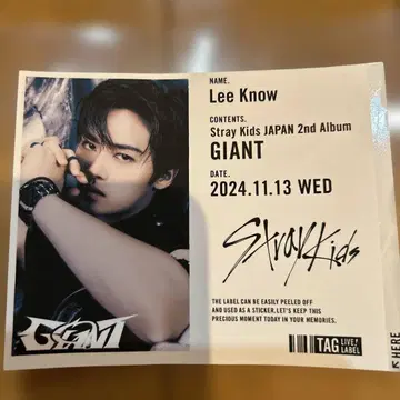 Stray Kids 2nd Album GIANT 라벨