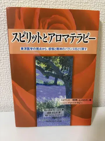 스피릿과 아로마테라피