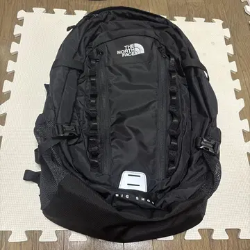 THE NORTH FACE 빅샷 33L