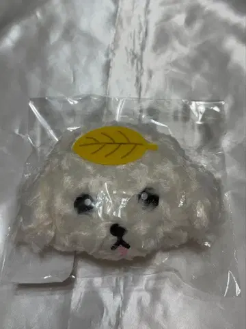 동방신기 창민 포치 파우치