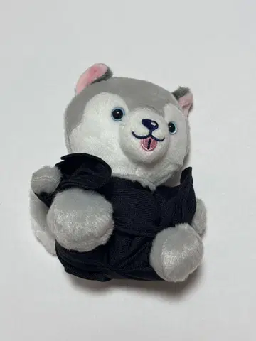 도리견 봉제 인형 마츠무라 호쿠토