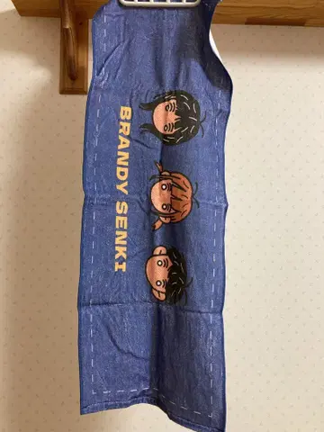 브랜디 전선 타월