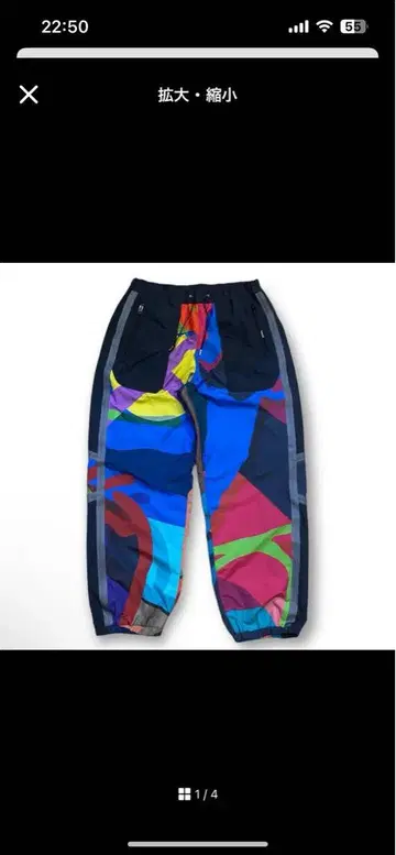 sacai kaws 콜라보 팬츠