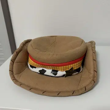 우디 팬캡 디즈니