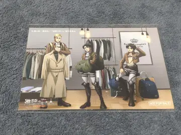 SuperGroupies 브로마이드 엘렌 리바이 엘빈 진격의 거인