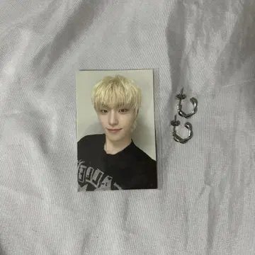 세븐틴 디노 귀걸이 8주년 트레이딩 카드 세트