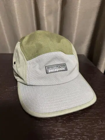 patagonia 캡