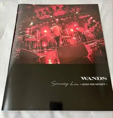 WANDS BURN THE SECRET LIVE 소책자