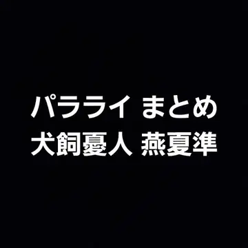 파라라이 묶음 판매