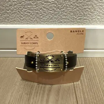 진격의 거인 뱅글 USJ 공식