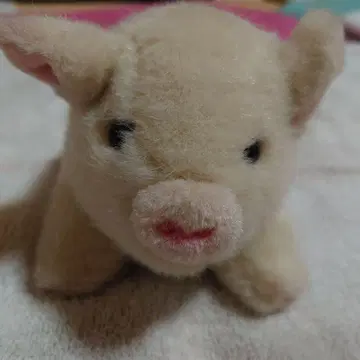 돼지 인형