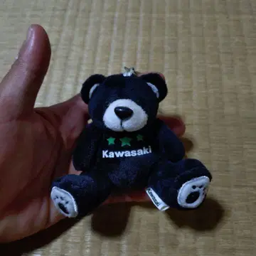 Kawasaki 테디베어