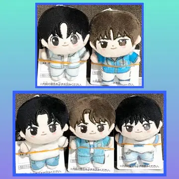[최저가] TWS 호와누이 4세트